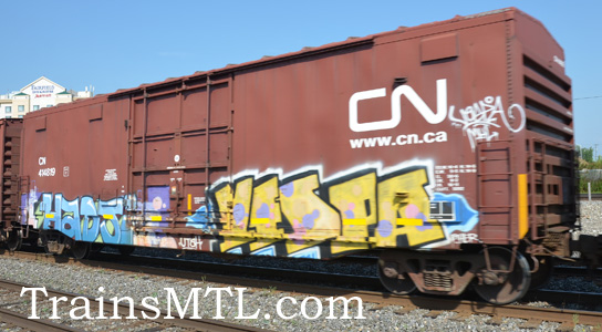 Car/wagon CN414819 right side / coté droit